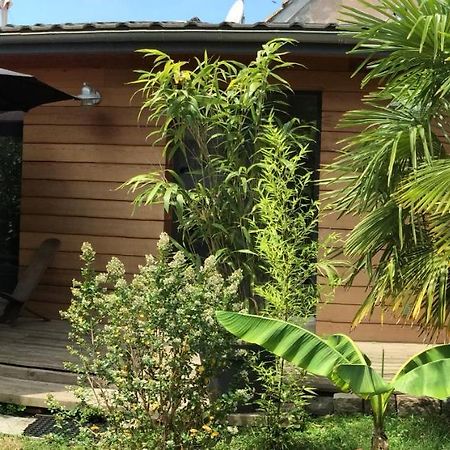 Chambre D'Hotes Du Clos Bamboo Merignac  Luaran gambar
