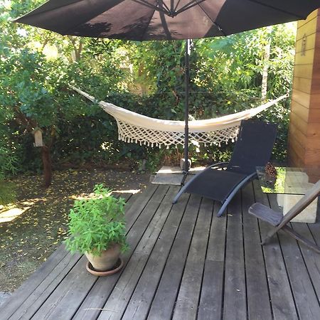 Chambre D'Hotes Du Clos Bamboo Merignac  Luaran gambar