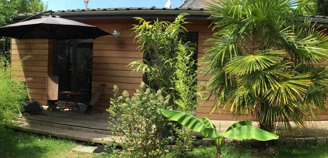 Chambre D'Hotes Du Clos Bamboo Merignac  Luaran gambar